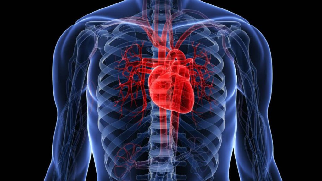 enfermedades estructurales del corazón-IMP